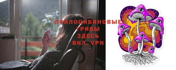 шишки Аркадак