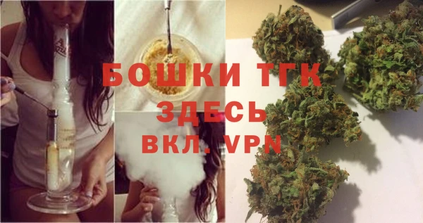 шишки Аркадак