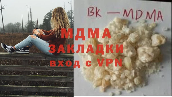 шишки Аркадак